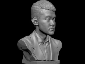 Ding Liren 3D Print Model