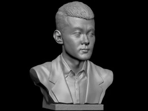 Ding Liren 3D Print Model