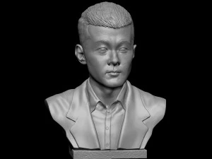 Ding Liren 3D Print Model