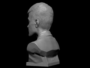 Ding Liren 3D Print Model