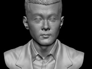 Ding Liren 3D Print Model