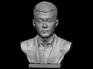 Ding Liren 3D Print Model