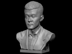 Ding Liren 3D Print Model