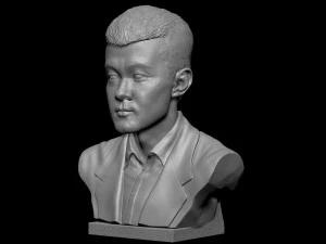 Ding Liren 3D Print Model