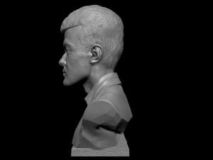 Ding Liren 3D Print Model
