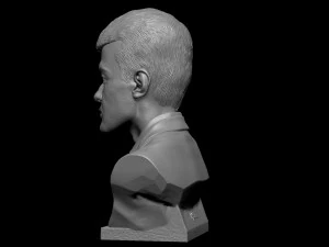Ding Liren 3D Print Model