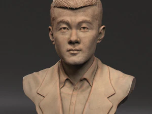Ding Liren 3D Print Model
