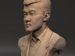 Ding Liren 3D Print Model