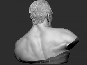 Busto de Tony Ferguson Modelo de Impressão 3D