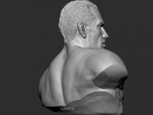 Tony Ferguson bust Modelo de Impressão 3D