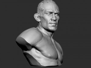 Tony Ferguson bust Modelo de Impressão 3D