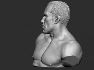 Busto de Tony Ferguson Modelo de Impressão 3D