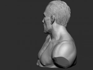 Busto de Tony Ferguson Modelo de Impressão 3D
