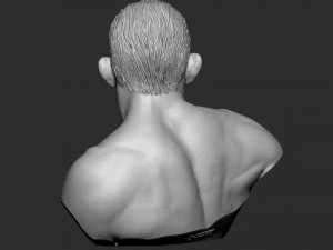 Busto de Tony Ferguson Modelo de Impressão 3D