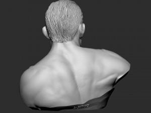 Tony Ferguson bust Modelo de Impressão 3D