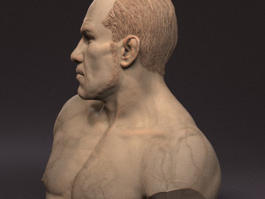 Tony Ferguson bust Modelo de Impressão 3D