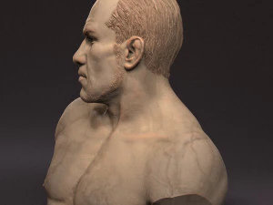 Busto de Tony Ferguson Modelo de Impressão 3D