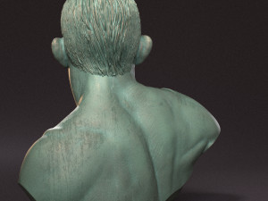 Tony Ferguson bust Modelo de Impressão 3D