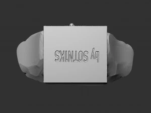 Recep Erdogan 3D Print Model