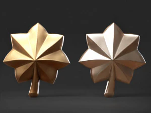 Major or Lieutenant Colonel Badge 3D Print Model