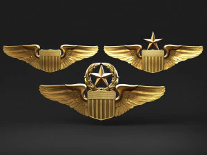 USAF Pilot Wings 3D Print Model