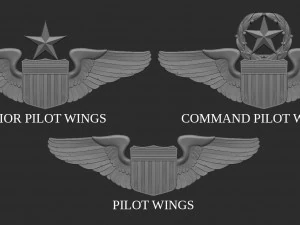 USAF Pilot Wings 3D Print Model