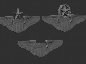USAF Pilot Wings 3D Print Model