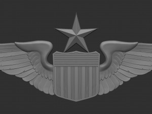 USAF Pilot Wings 3D Принт Модель
