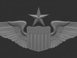 USAF Pilot Wings 3D Print Model