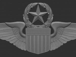 USAF Pilot Wings 3D Принт Модель