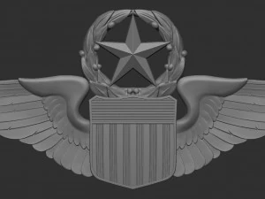 USAF Pilot Wings 3D Print Model