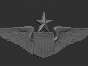 USAF Pilot Wings 3D Принт Модель