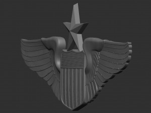 USAF Pilot Wings 3D Принт Модель