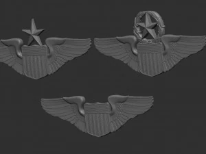 USAF Pilot Wings 3D Print Model