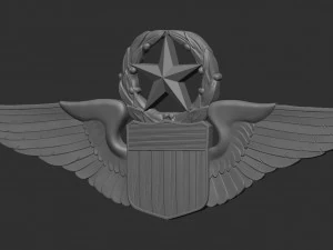 USAF Pilot Wings 3D Print Model