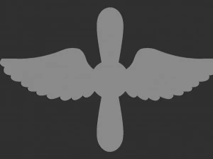 Red Army Air Force Lapel Emblem 3D Print Model