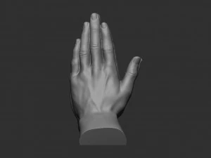 Blessing Hands 3D Print Model