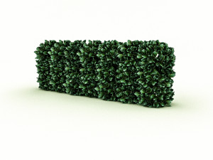 garden material 3D-Modell
