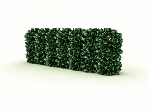 garden material 3D Model