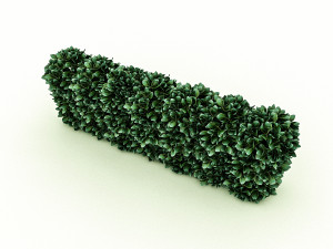 garden material 3D-Modell