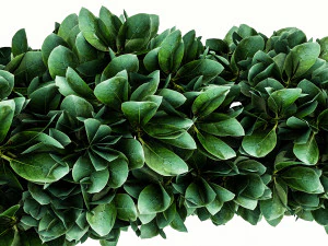 garden material 3D Model