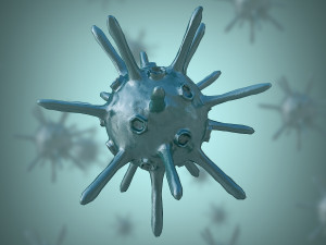 bacterium 1 3D मॉडल