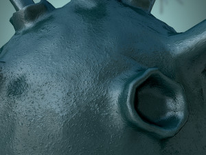 bacterium 1 3D Model
