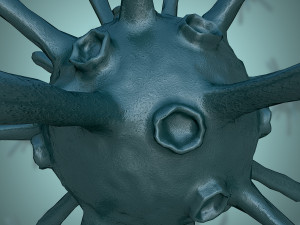 bacterium 1 3D Model