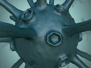 bacterium 1 3D Model