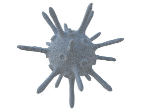 bacterium 1 3D Model
