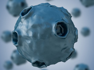 bacterium 2 3D 모델