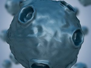 bacterium 2 3D Модель