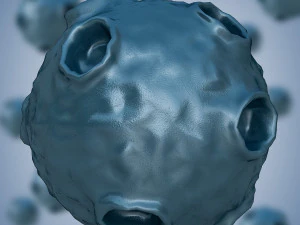 バクテリア2 3Dモデル