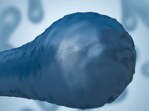 batterio 3 Modello 3D